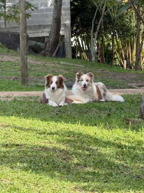 Dia a dia